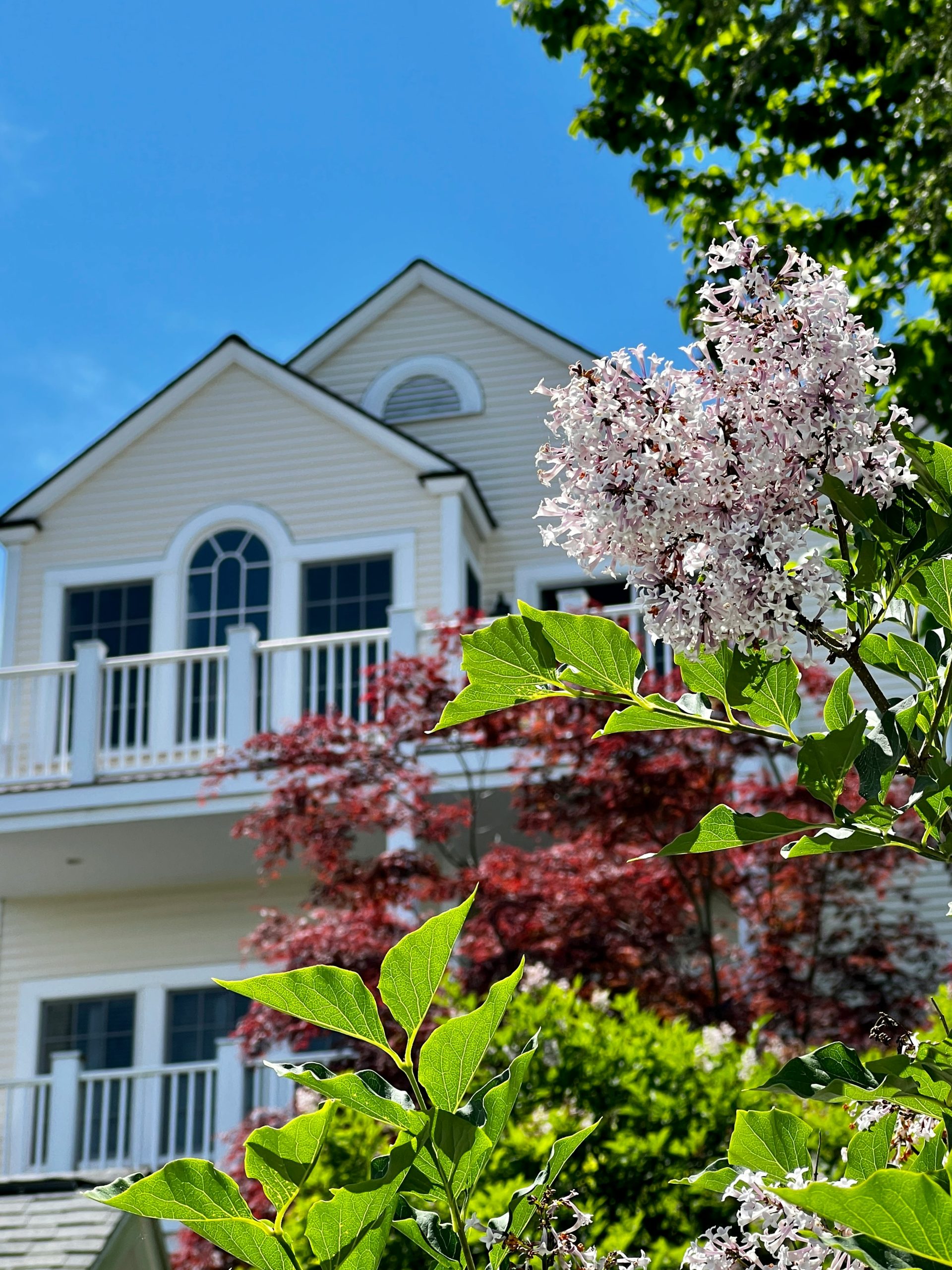 home with trees and shrubs