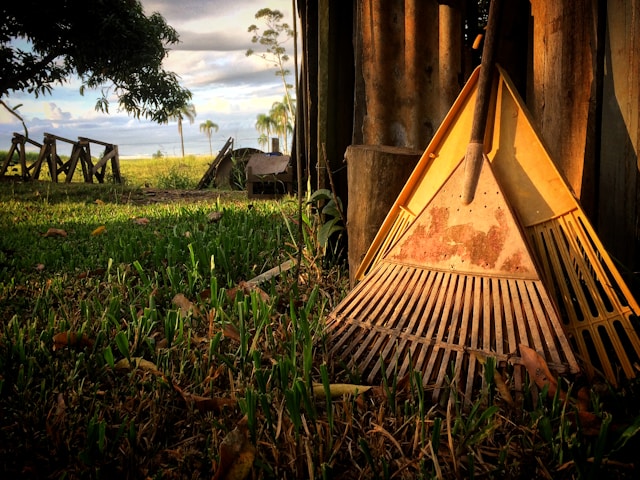 This is a Picture of a rake standing by a shed