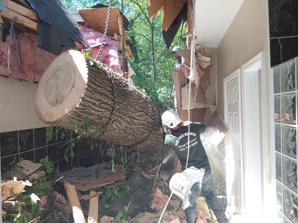 tree fell on house storm damage tree removal by a professional tree service company in virginia