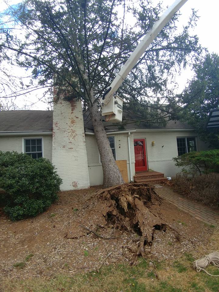 virginia tree damage storm response