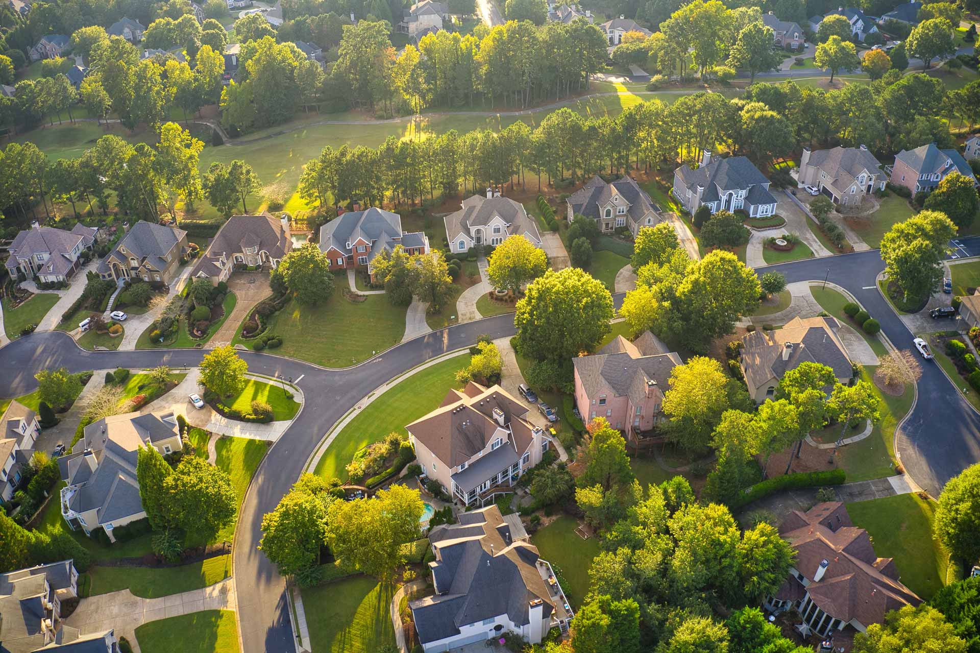 tree service for hoa in northern virginia