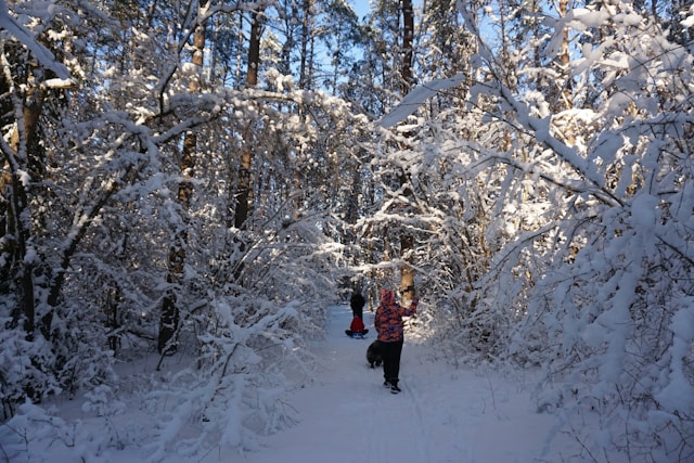 People walking in the snow